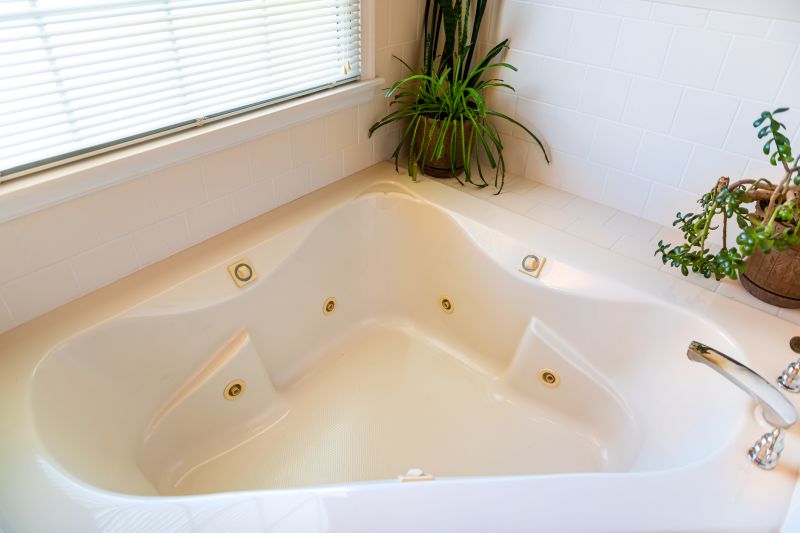 Spa-like Tub Area
